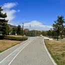 青岛旅游 缩略图 3