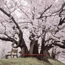 大连旅游 缩略图 3
