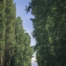 伊犁旅游 缩略图 13