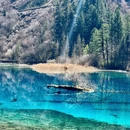 阿坝旅游 缩略图 8