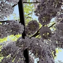 北京旅游 缩略图 10
