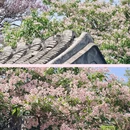 北京旅游 缩略图 2