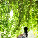 广州旅游 缩略图 6