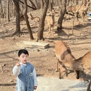 大连旅游 缩略图 3