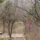 北京旅游 缩略图 16