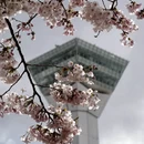 牡丹江旅游 缩略图 5