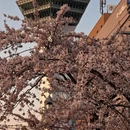 牡丹江旅游 缩略图 18