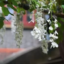 南通旅游 缩略图 5