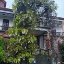 南通旅游 缩略图 18