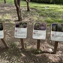 北京旅游 缩略图 14