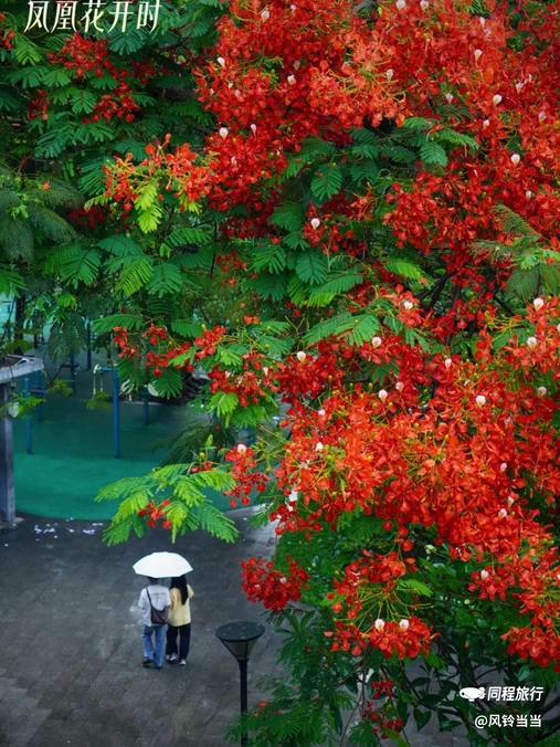 海印桥 - 广州市旅游