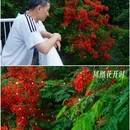 海印桥 - 广州市旅游 缩略图 4