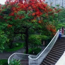 海印桥 - 广州市旅游 缩略图 5