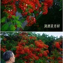 海印桥 - 广州市旅游 缩略图 7