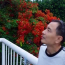 海印桥 - 广州市旅游 缩略图 9