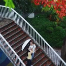 海印桥 - 广州市旅游 缩略图 6
