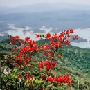 从化五指山景区 - 广州市旅游 缩略图 6