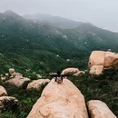 马天顶 - 江门市旅游 缩略图 6