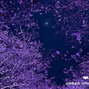 太湖鼋头渚风景区-樱花谷 - 无锡旅游 缩略图 4