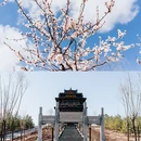 鄂尔多斯草原 - 鄂尔多斯市旅游 缩略图 9