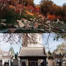 银川植物园 - 银川市旅游 缩略图 4