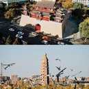 银川植物园 - 银川市旅游 缩略图 1