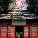 徐州汉文化景区 - 徐州市旅游 缩略图 4