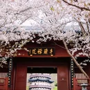 金陵小城 - 南京市旅游 缩略图 6