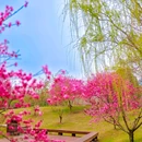 金陵小城 - 南京市旅游 缩略图 8