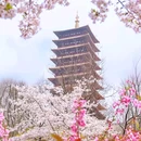 金陵小城 - 南京市旅游 缩略图 9