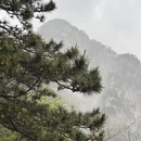 九江旅游 缩略图 9
