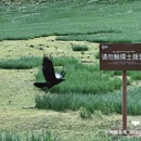 上海野生动物园 - 上海市旅游 缩略图 2