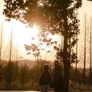 山田花舍民宿(江郎山景区店) - 衢州市旅游 缩略图 3