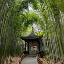 乔园 - 泰州市旅游 缩略图 3