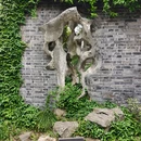 乔园 - 泰州市旅游 缩略图 5