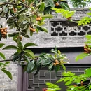 乔园 - 泰州市旅游 缩略图 7