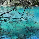 霞浦滩涂 - 宁德旅游 缩略图 2
