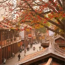 浙江丽水白云国家森林公园 - 丽水市旅游 缩略图 1
