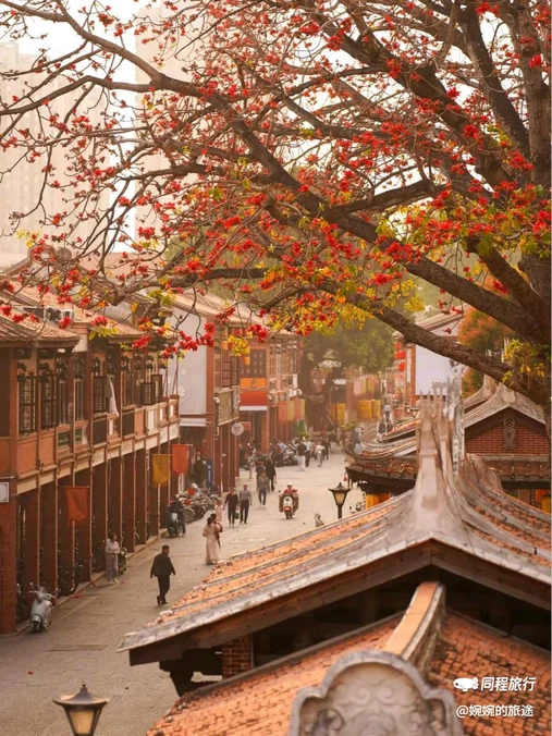 浙江丽水白云国家森林公园 - 丽水市旅游