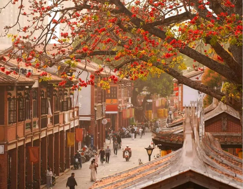 浙江丽水白云国家森林公园 - 丽水市旅游 1