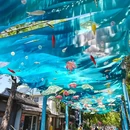 宏村风景区 - 黄山市旅游 缩略图 6