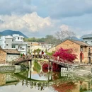 仙居南峰山景区 - 台州市旅游 缩略图 1