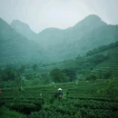 卢村风光景区 - 黄山市旅游 缩略图 3