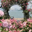金鸡湖景区 - 苏州市旅游 缩略图 1