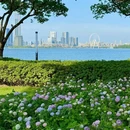 金鸡湖景区 - 苏州市旅游 缩略图 2