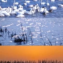 景德镇中国陶瓷博物馆 - 景德镇市旅游 缩略图 1