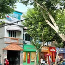 上海市 - 上海旅游 缩略图 5