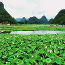 普者黑风景区 - 文山壮族苗族自治州旅游 缩略图 6