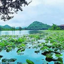 普者黑风景区 - 文山壮族苗族自治州旅游 缩略图 7