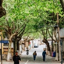连云港老街 - 连云港市旅游 缩略图 8